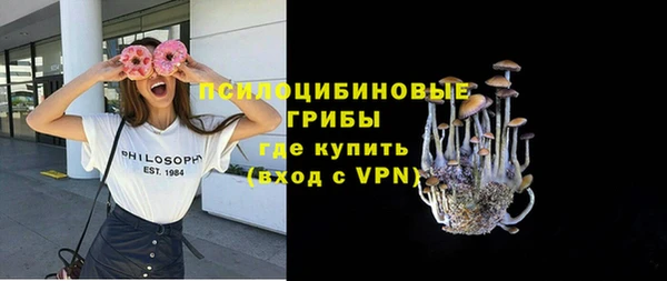 дживик Алексеевка