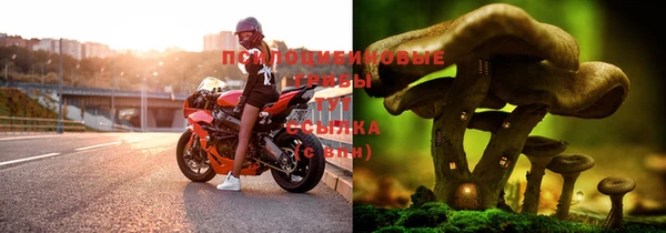 круглые Алзамай
