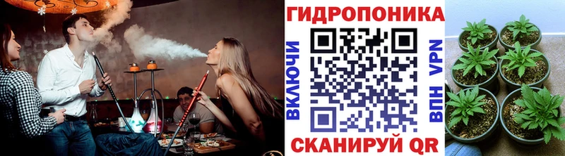 купить наркотики сайты  Ветлуга  Бошки Шишки гибрид 